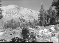 Schelite mineral claim near Dorothy Lake.