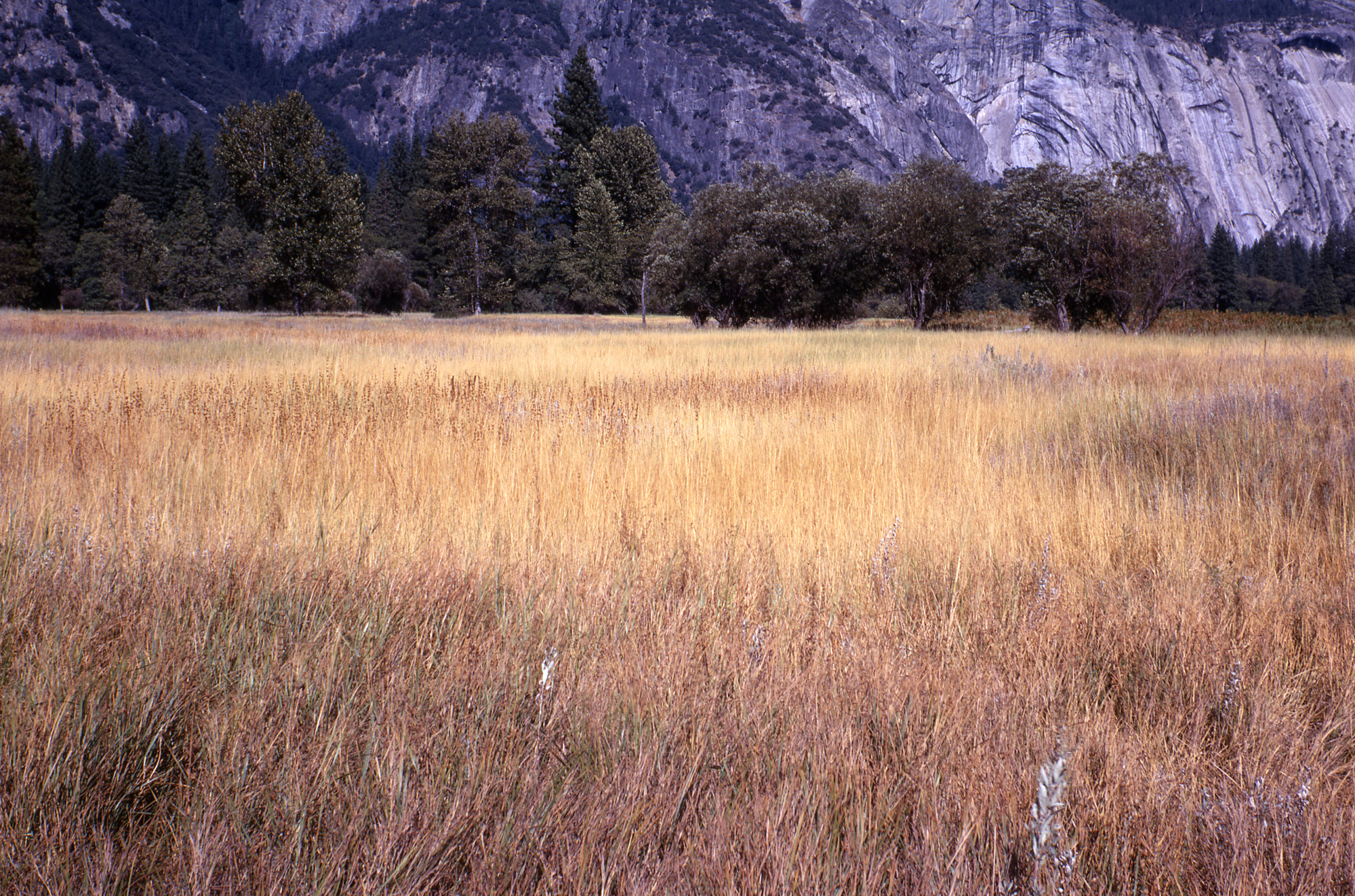 Yosemite Valley