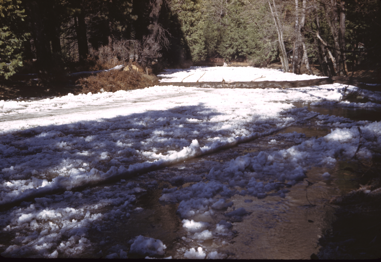 Yosemite Creek
