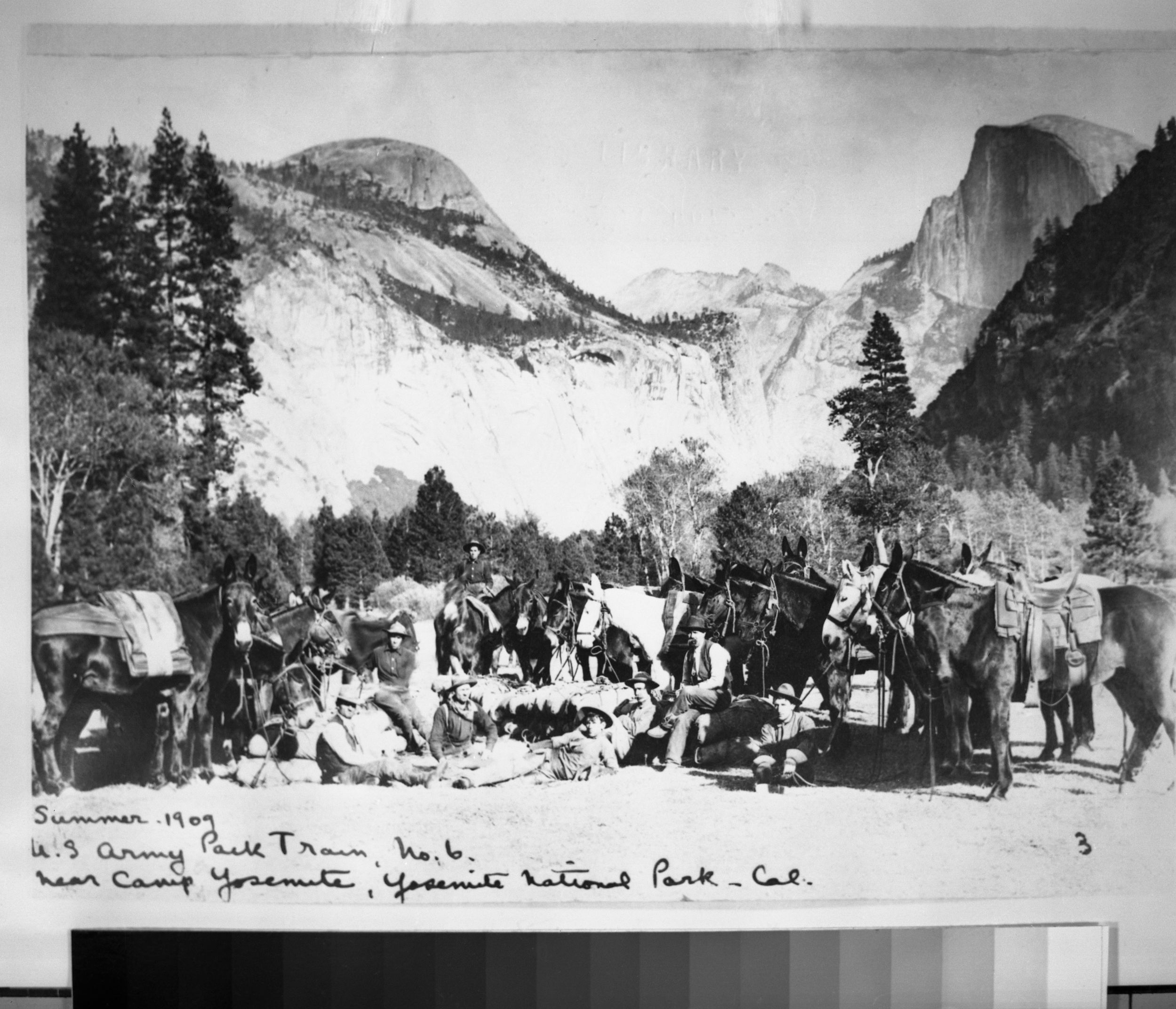 U.S. Army Pack Train, No. 6 near Camp Yosemite, Yosemite Nat. Park, Cal. Copied June 1981.