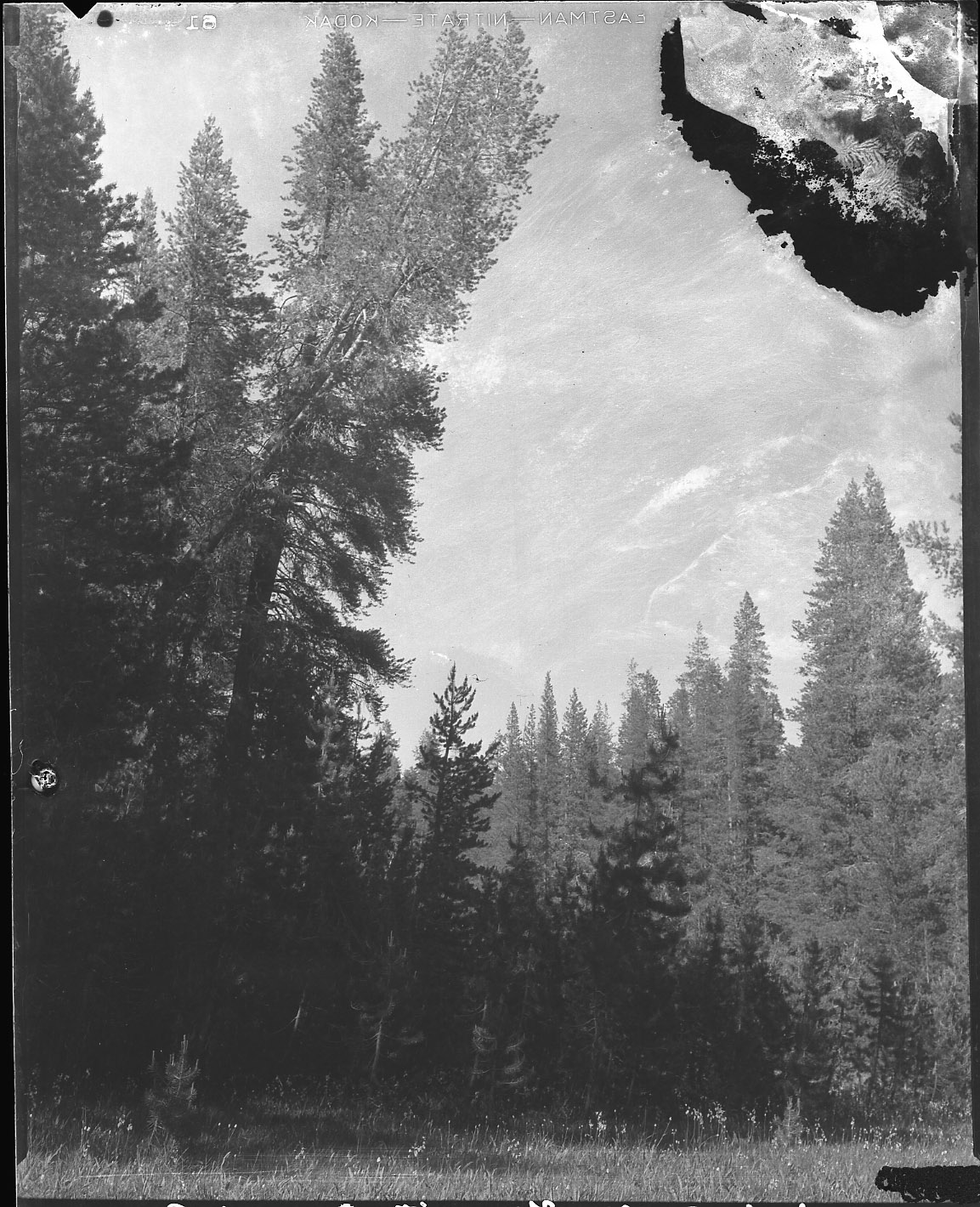 Yosemite National Park