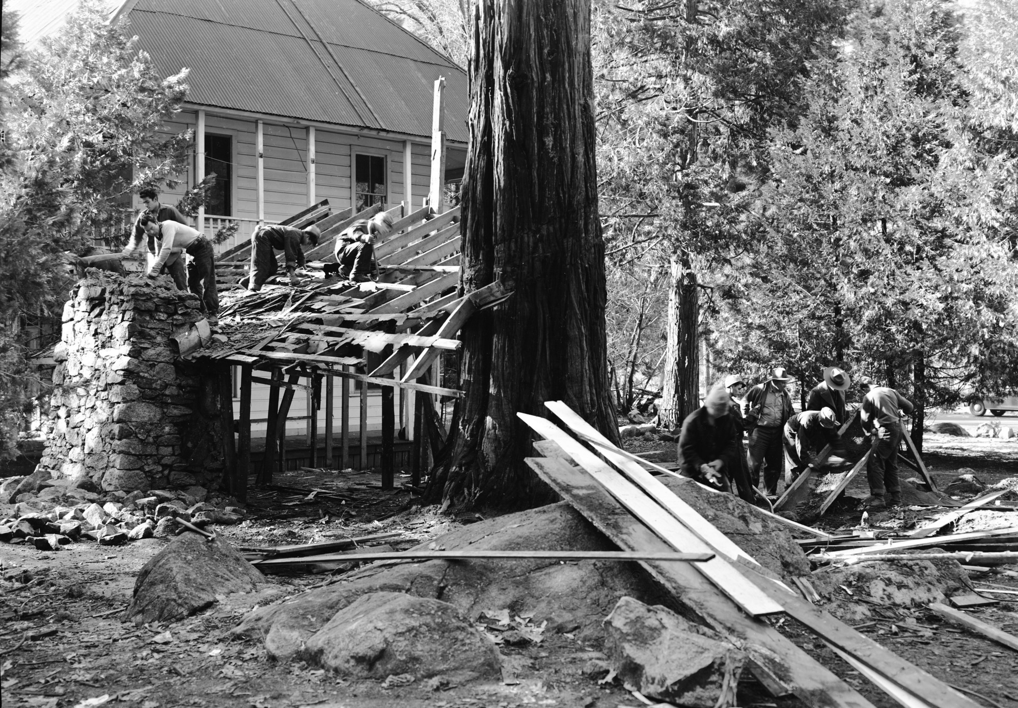 Tearing down Big Tree room of Cedar Cottage.