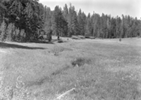 McGurk Meadow from the bridge looking west.