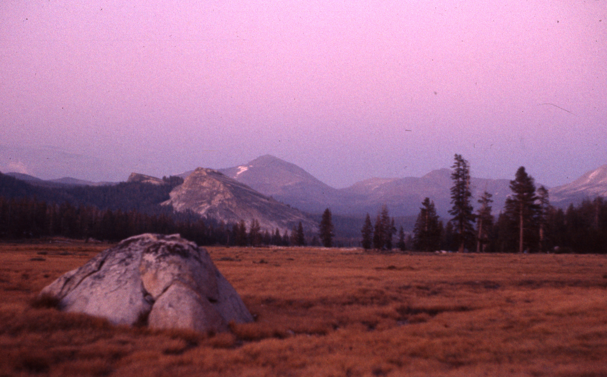 Tuolumne Meadows