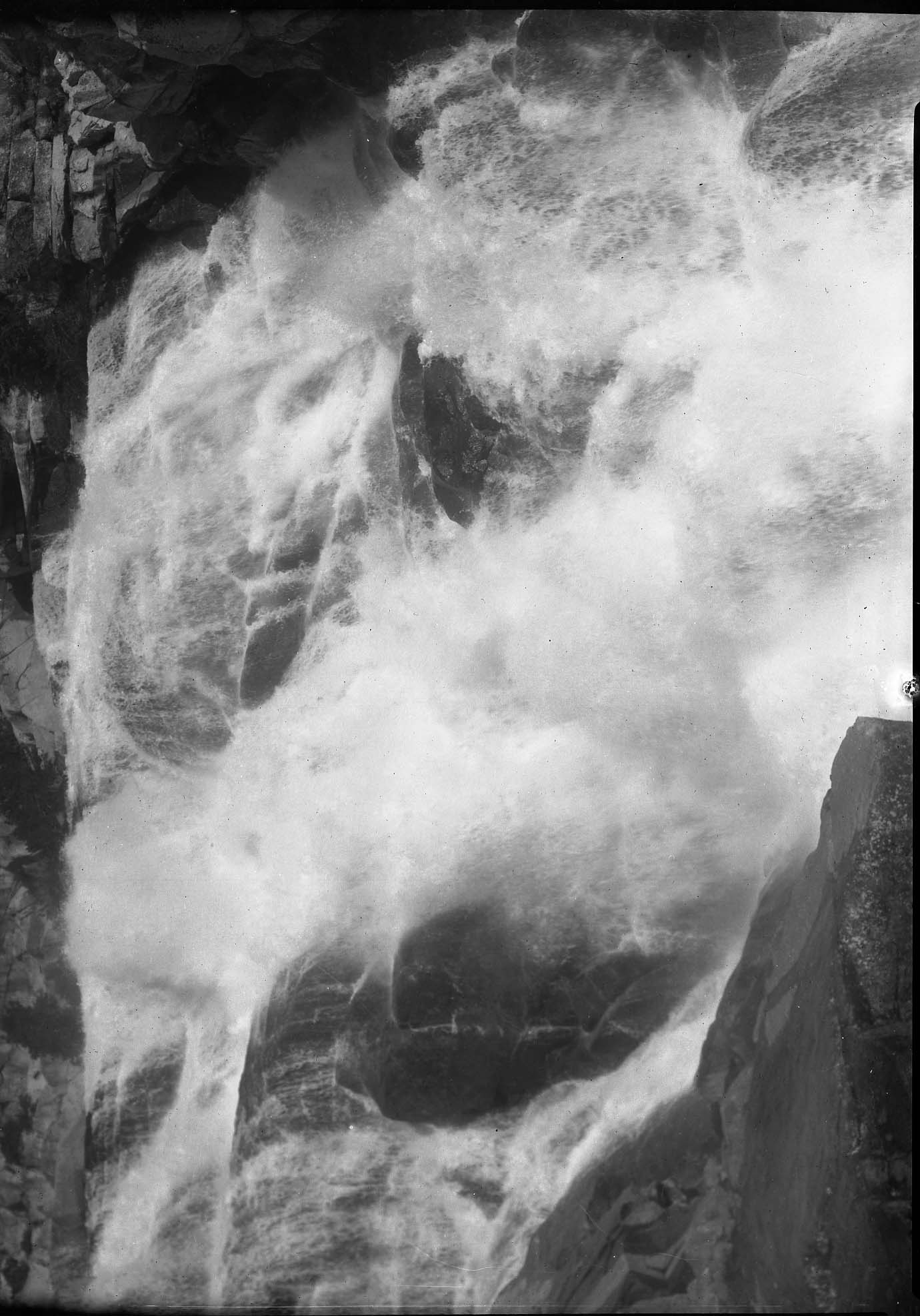 Sequioa National Park