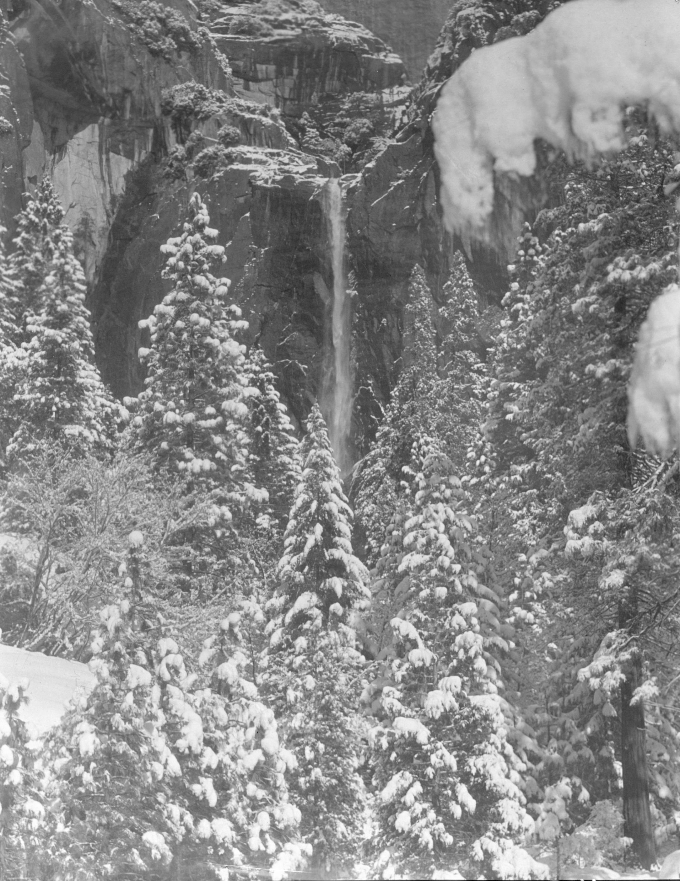 Lower Yosemite Fall