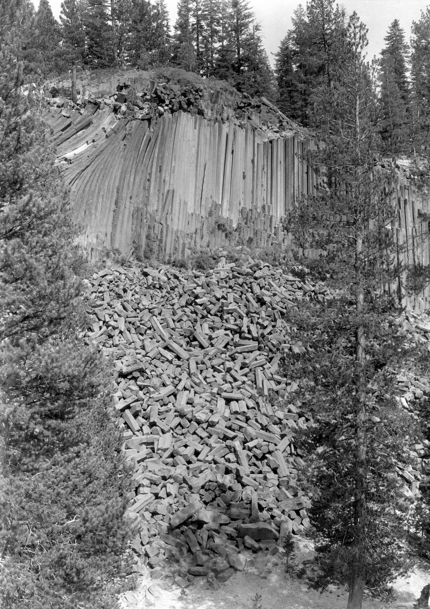 Showing talus at base.