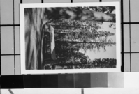 Mariposa Grove cabin. Photo donated to YNP by Audrey Harris.