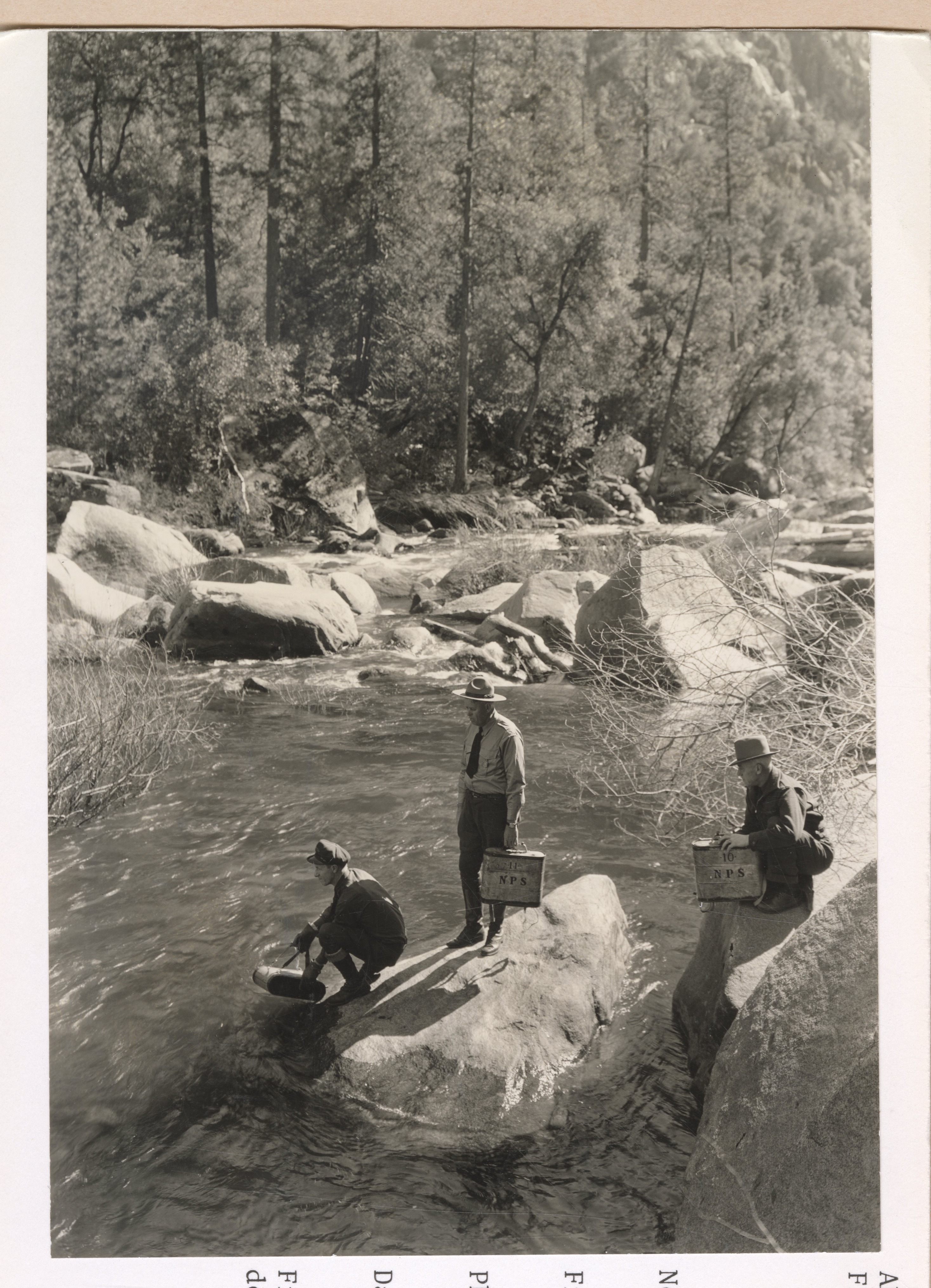 Fish planting demonstration