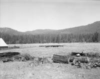 Foresta. Myers cattle & corner of barn. A-4.