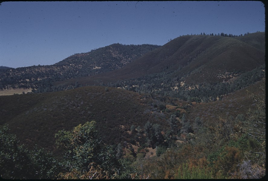 Foothills east of Coulterville