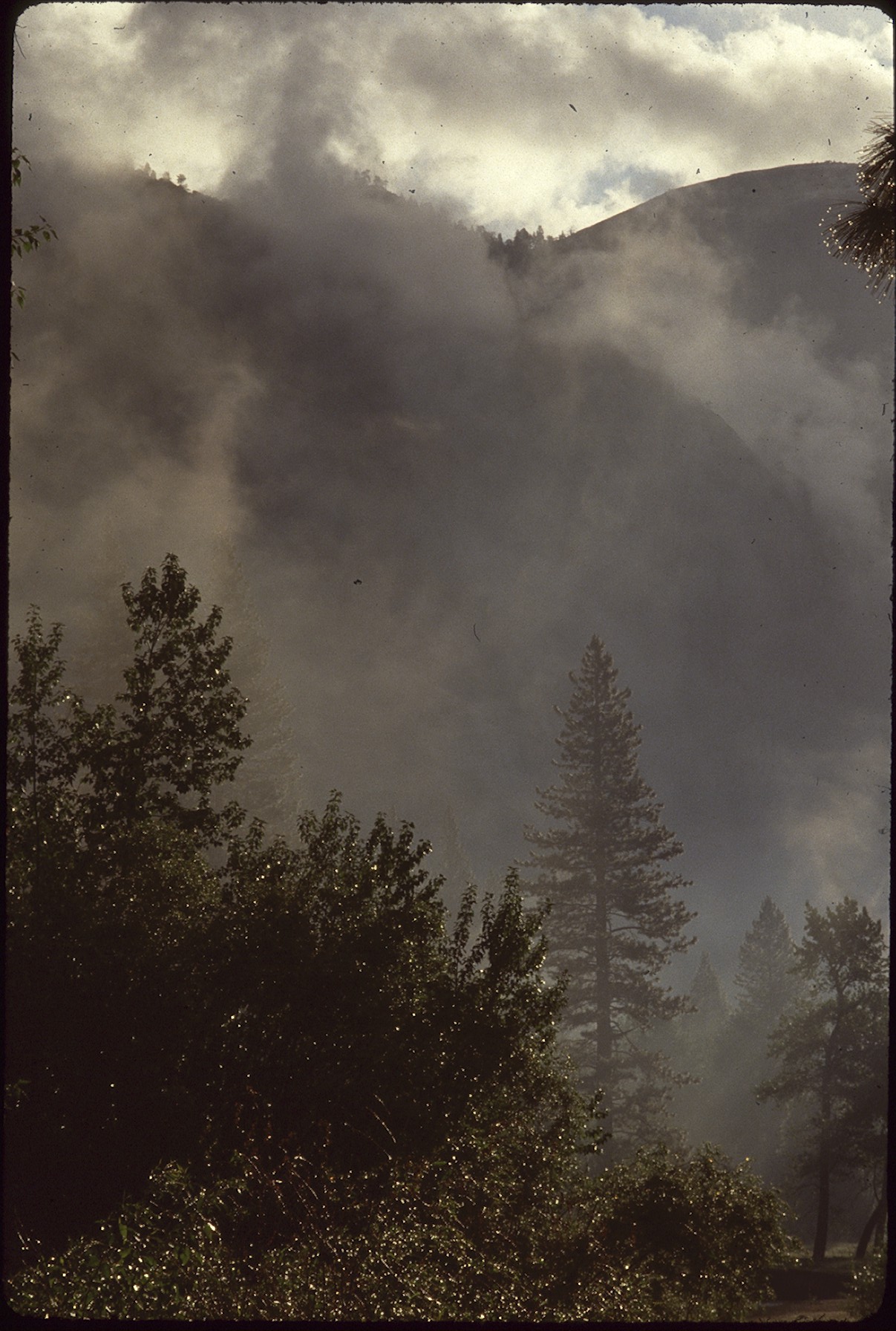 mountain with trees and clouds