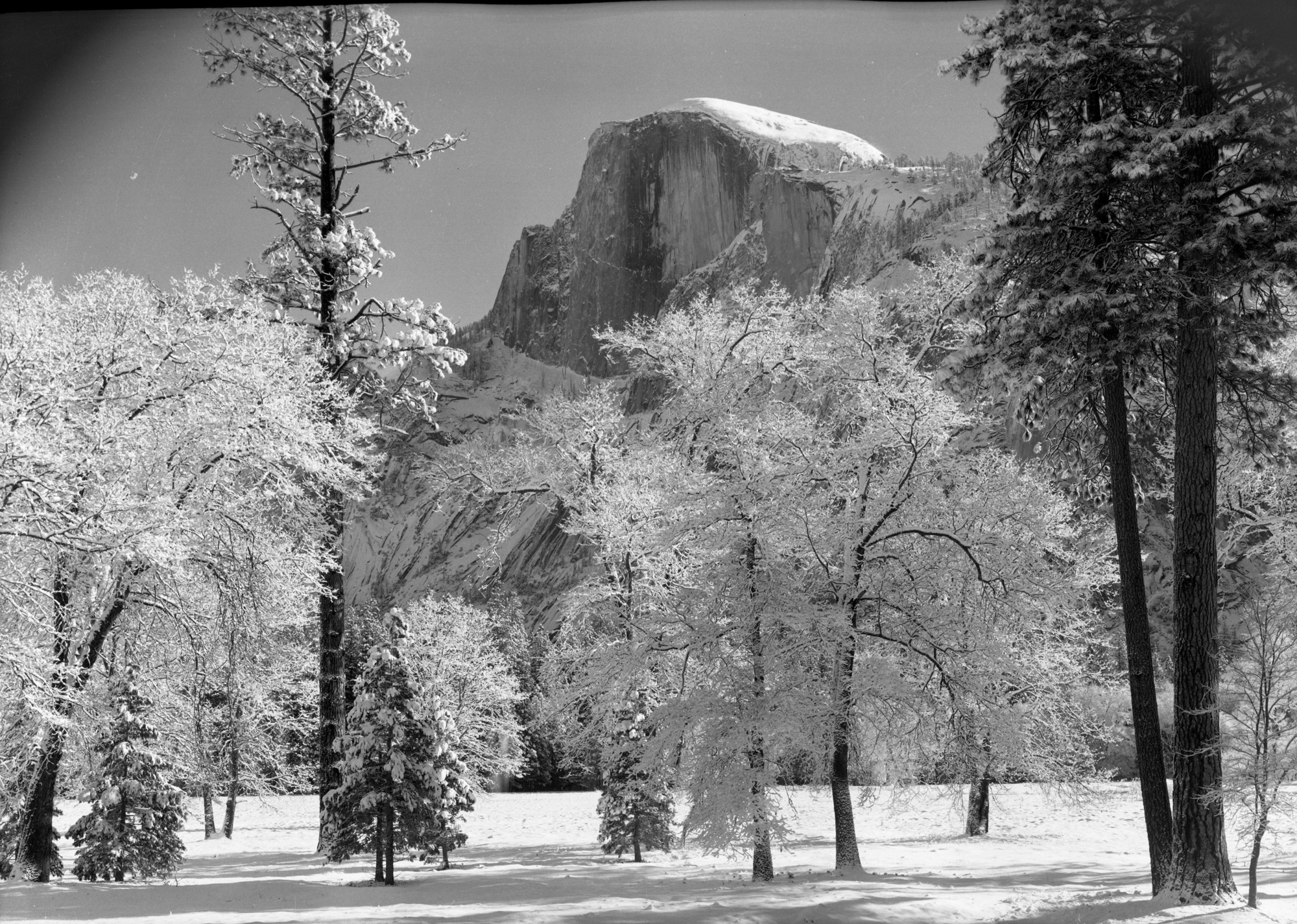 From near Curry, Oaks in foreground during winter.