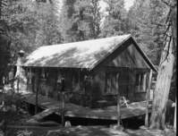 Foresta. [Perry] Wren #2. D-11. [Old Wilson place].