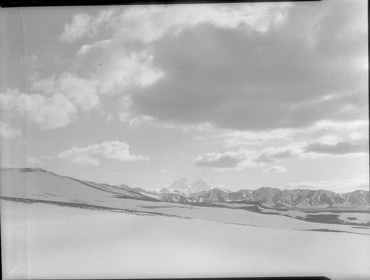 McKinley National Park