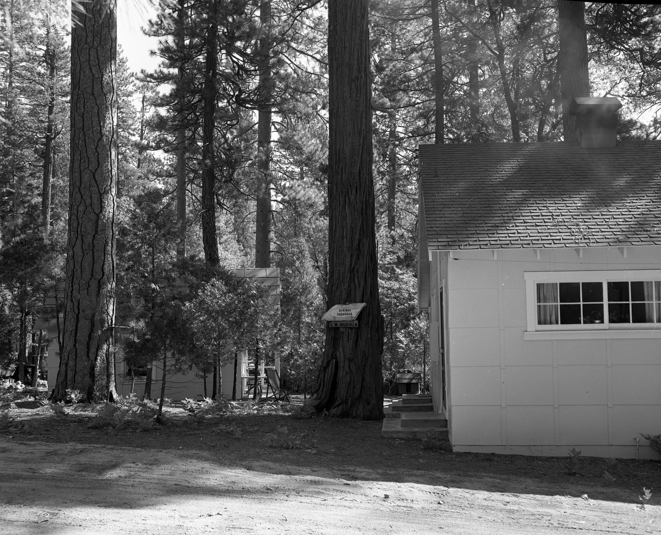 Foresta. Houseman #2. D-4.