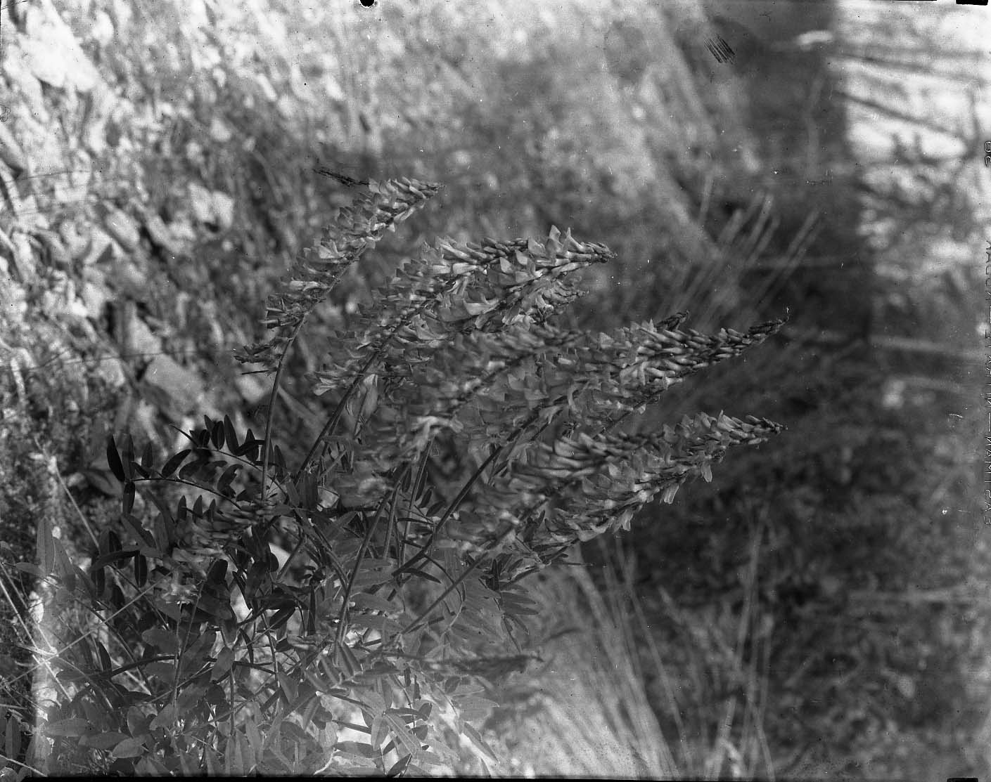 McKinley Park Station