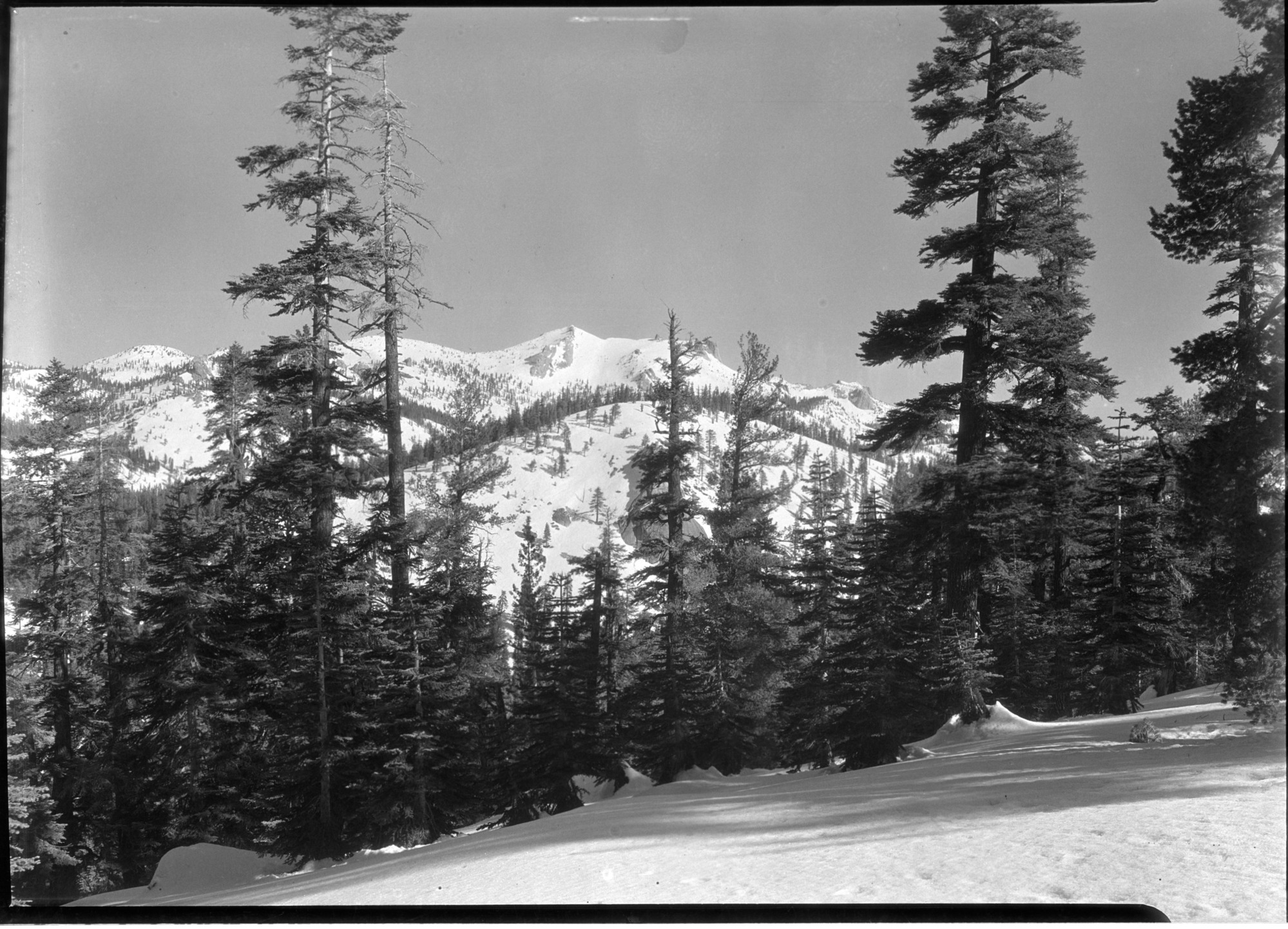 Mt. Hoffman from slope of Mt. Watkins.