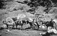 How first wagon was brought to Yosemite. copied by Cather, copied 1941