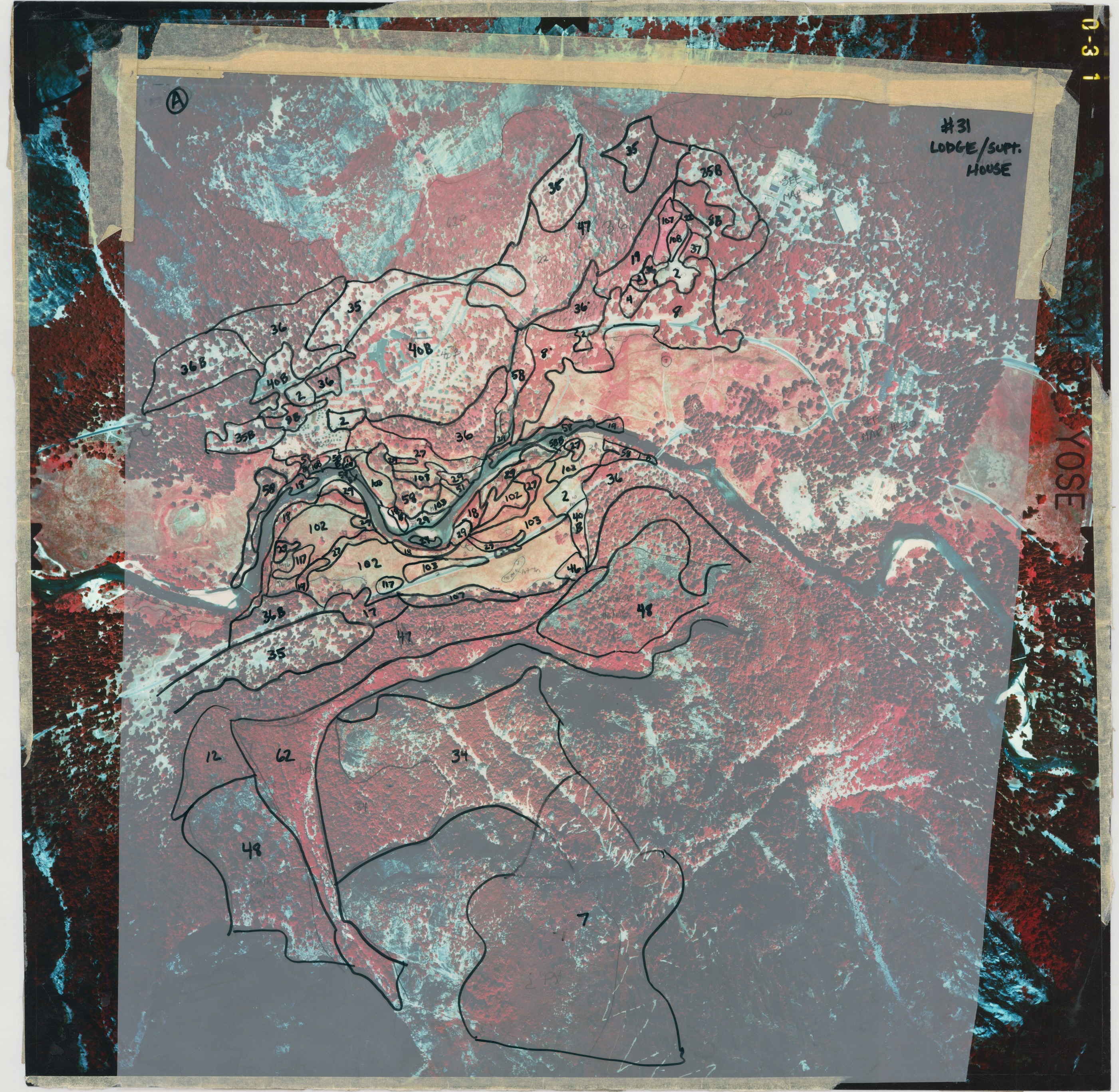 #31 Lodge/Supt. House