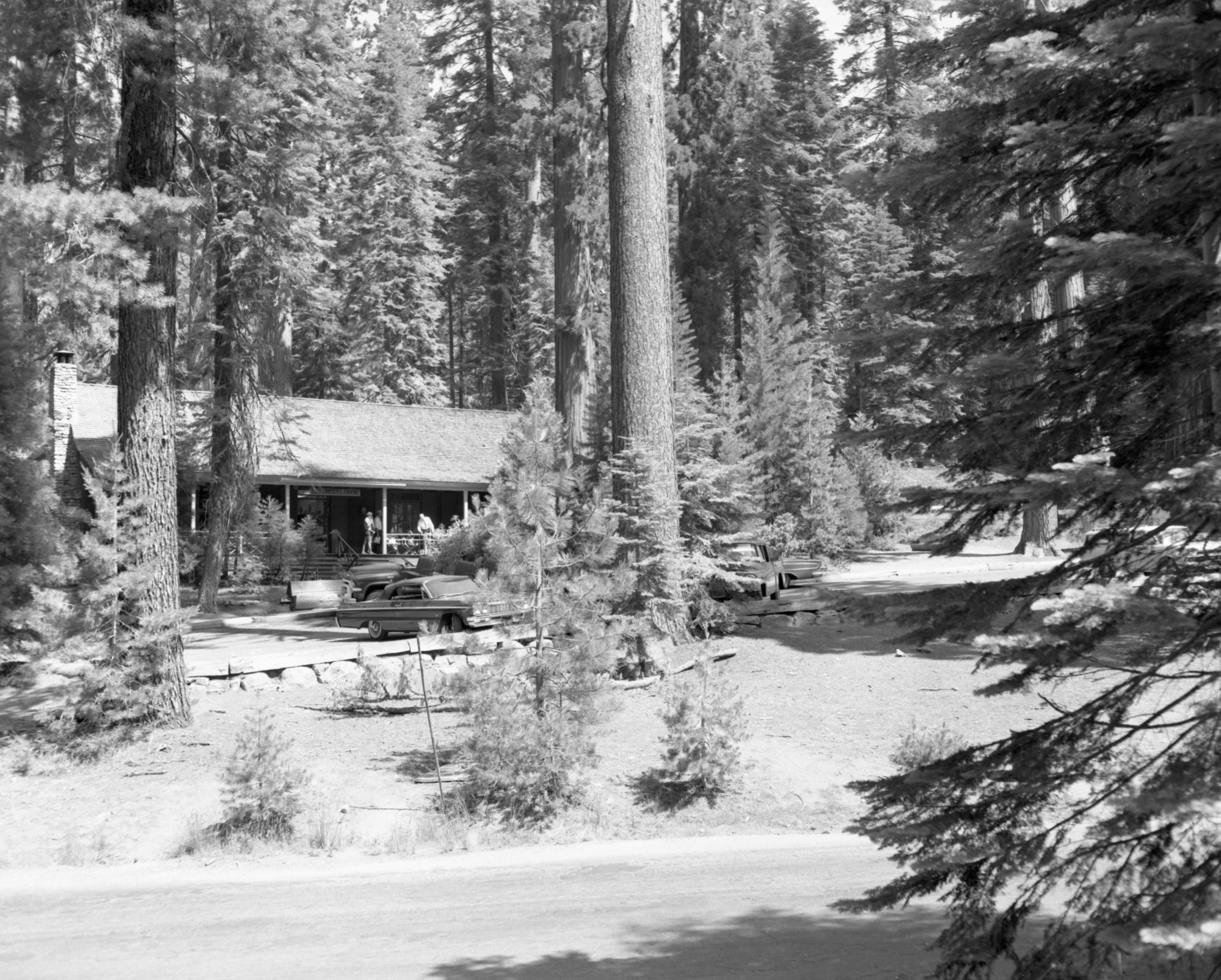 YOSE-MAGR Acc. 6. Big Trees Lodge. Yosemite, Mariposa Grove. *11 1/100 200' 127mm Tri-X.