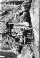 Team & wagon with passengers, Wawona Tunnel Tree. Frank R. Coburn; Merced, CA (?)