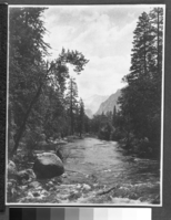 Copied from the photo album of Robert Lindsey, who worked on the Yosemite Valley survey, as a civil engineer. 1903-1905. Copied October 1983, by Michael Dixon.