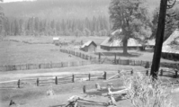 Big Meadow Foresta