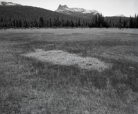 Cathedral Peak, emphasizing meadows - Tuolumne Meadows.
