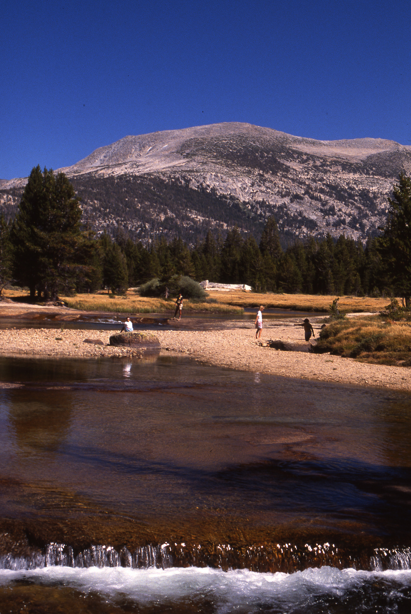 Tuolumne Meadows