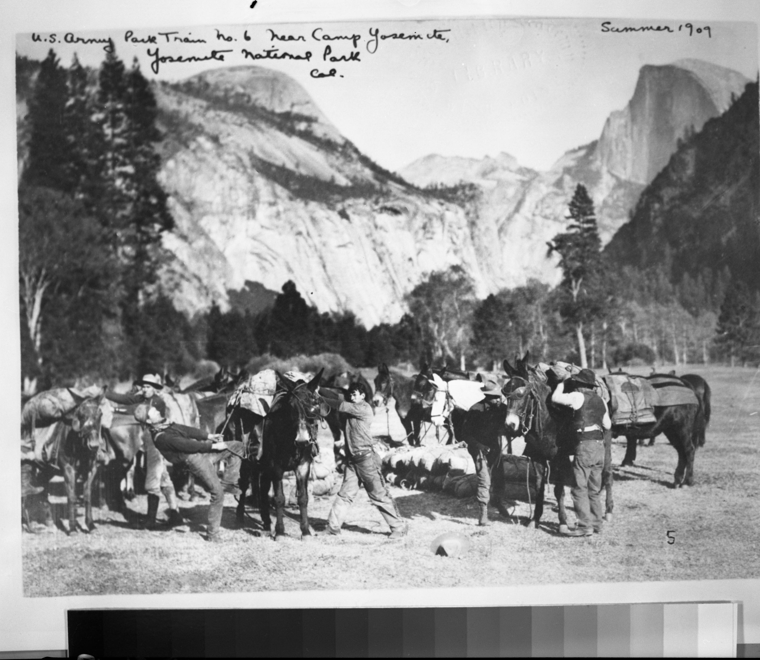 U.S. Army Pack Train, No. 6 near Camp Yosemite, Yosemite Nat. Park, Cal. Copied June 1981.