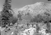 Schelite mineral claim near Dorothy Lake.