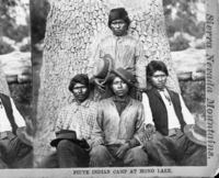 Native American Men (although listed as "Piute Indian Camp at Mono Lake", the black oak tree trunk argues for a Yosemite Valley, rather than Mono Lake location). Hazeltine Stereograph