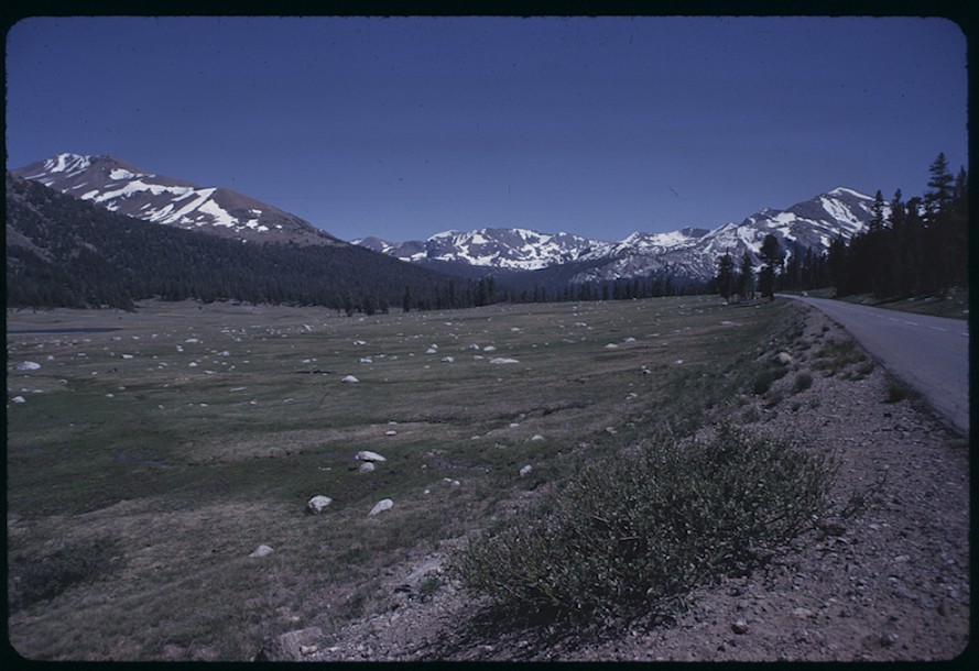 Kuna Crest to Mt. Gibbs, Tioga Pass, lkg. Wst.