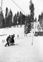 Crowds at Badger Pass and operation of Constam.