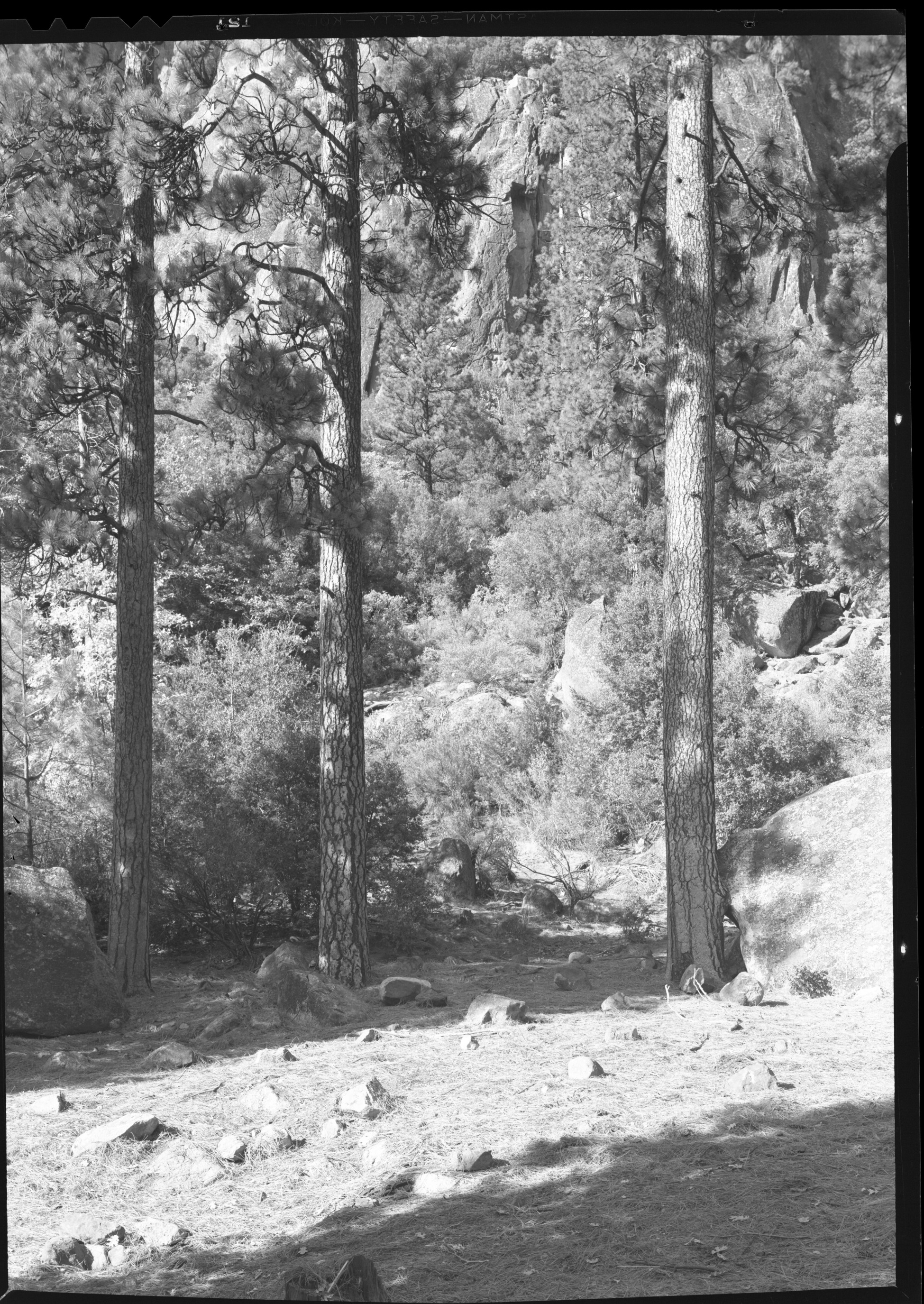 Bear feeding place after restoration