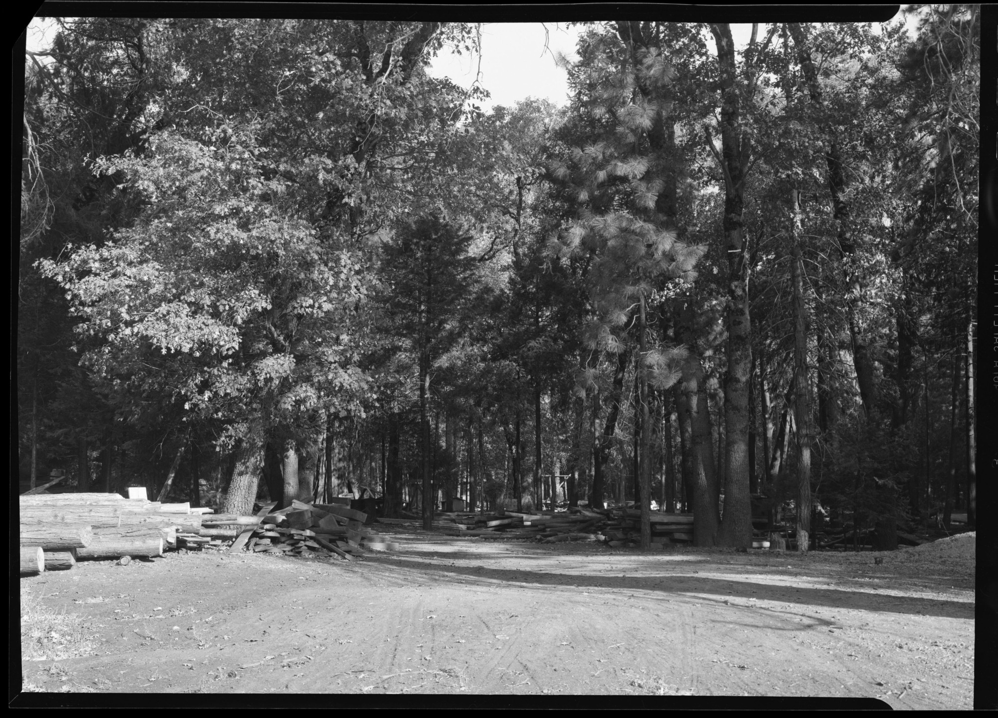 From Curry pit looking toward fire area