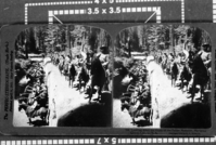 Copy Neg: Leroy Radanovich, February 2002. Stereoview. #704 "Looking down the trunk of the Fallen Monarch, Mariposa Grove, Cal., USA" Troop D, 9th Cavalry. See also RL-19,830 and RL13,563. Copied courtesy Dean Shenk. [Buffalo Soldiers].