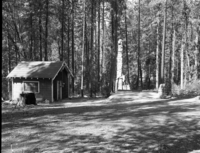 Foresta. Patterson. D-6.