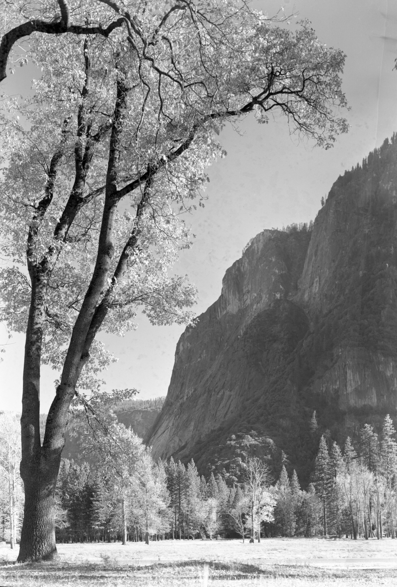 Glacier Point through autumn foliage