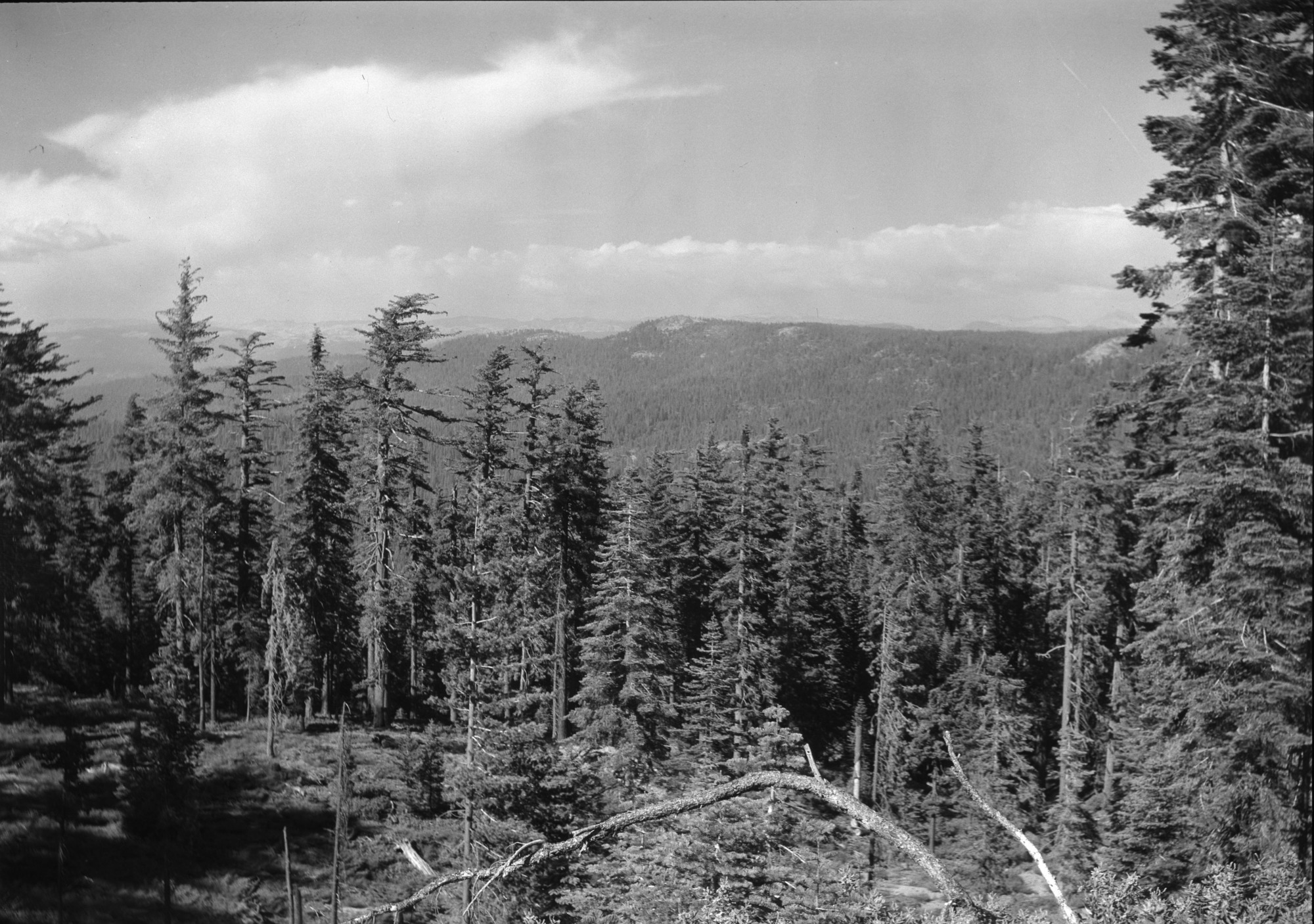 Mt. Baldy from Crane Flat Lookout - #2 Panorama