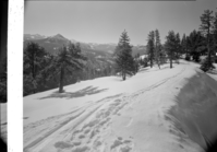 Looking toward hotel from Glacier Point.