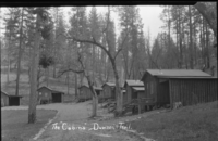 Dawson Trail Inn then Timber Lodge, Midpines, CA; Cabins.