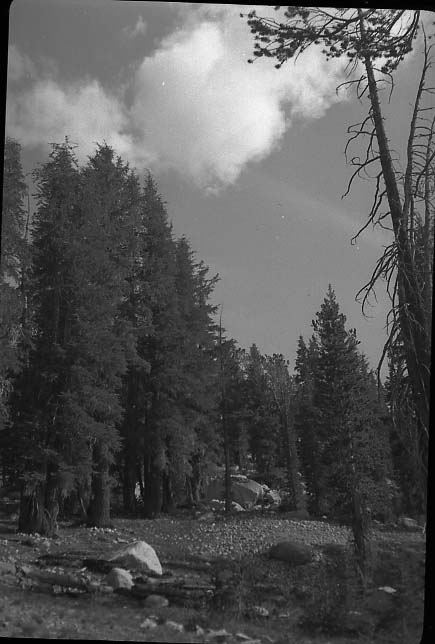 Joseph Dixon Collection