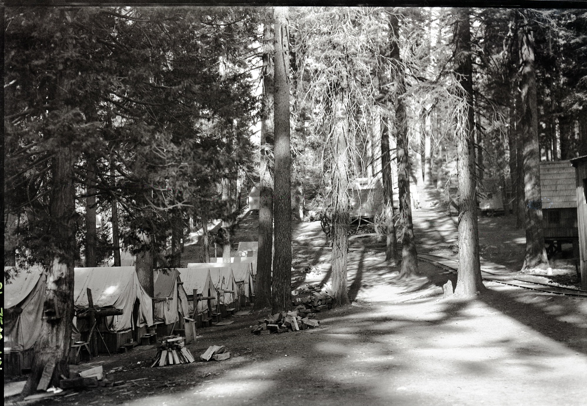 Copy Neg: Leroy Radanovich, November 2001. Yosemite Lumber Co. - Camp 15. Museum Collections Cat. No: YOSE 81670