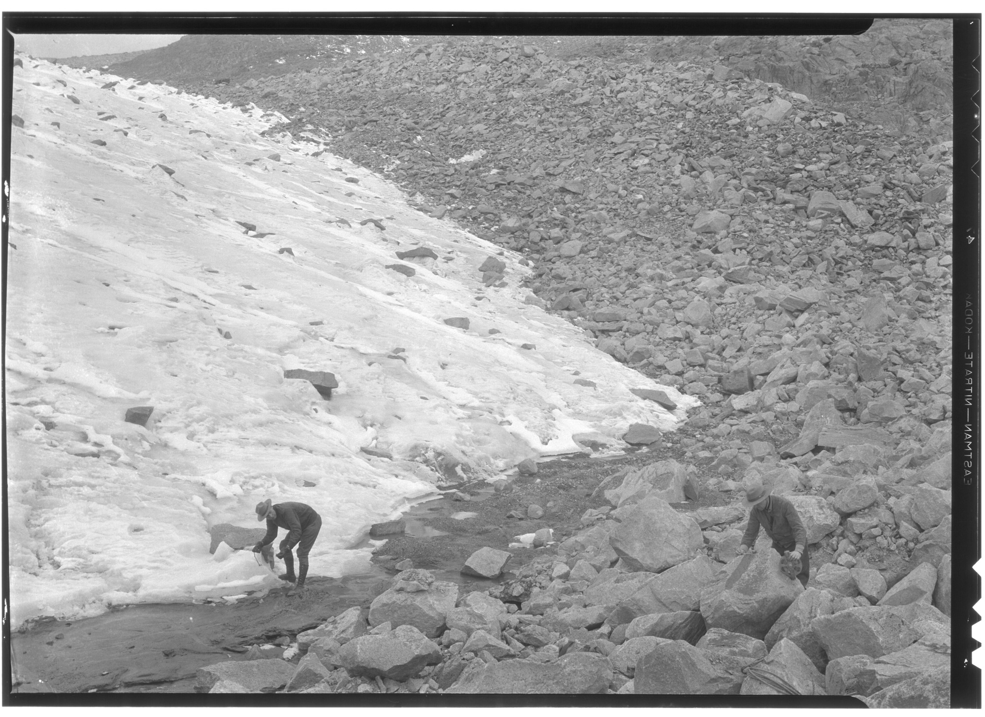 Westerly Lobe of Lyell Glacier
