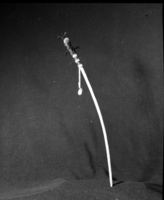 Marie Rozier Collection, Catalog No. 217. Object: Imitation Maidu-style headpin. Dimensions: 22" diameter. Materials: willow shoot, glass beads, abalone shell, quail topknots, mallard duck and blue jay scalps, red turkey fluffs. Collection History: Made by Craig Bates, c. 1969. Photographed by Michael Dixon in December 1982. Catalogued by Craig Bates and Barbara Beroza. Yosemite Collections, National Park Service.
