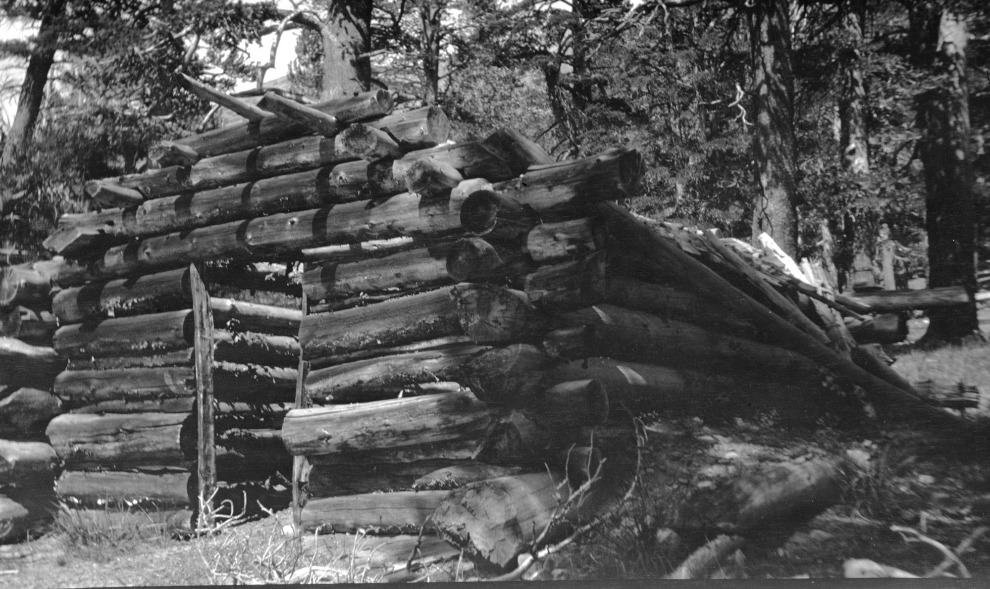 Cabin on Mono Trail. 1921 Sierra Club trip.