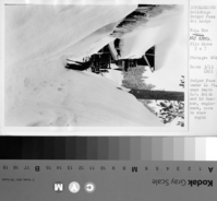Badger Pass under 14 ft. snow depth. E.C. Smith and Ed Renner, engineers, pose to show depth.