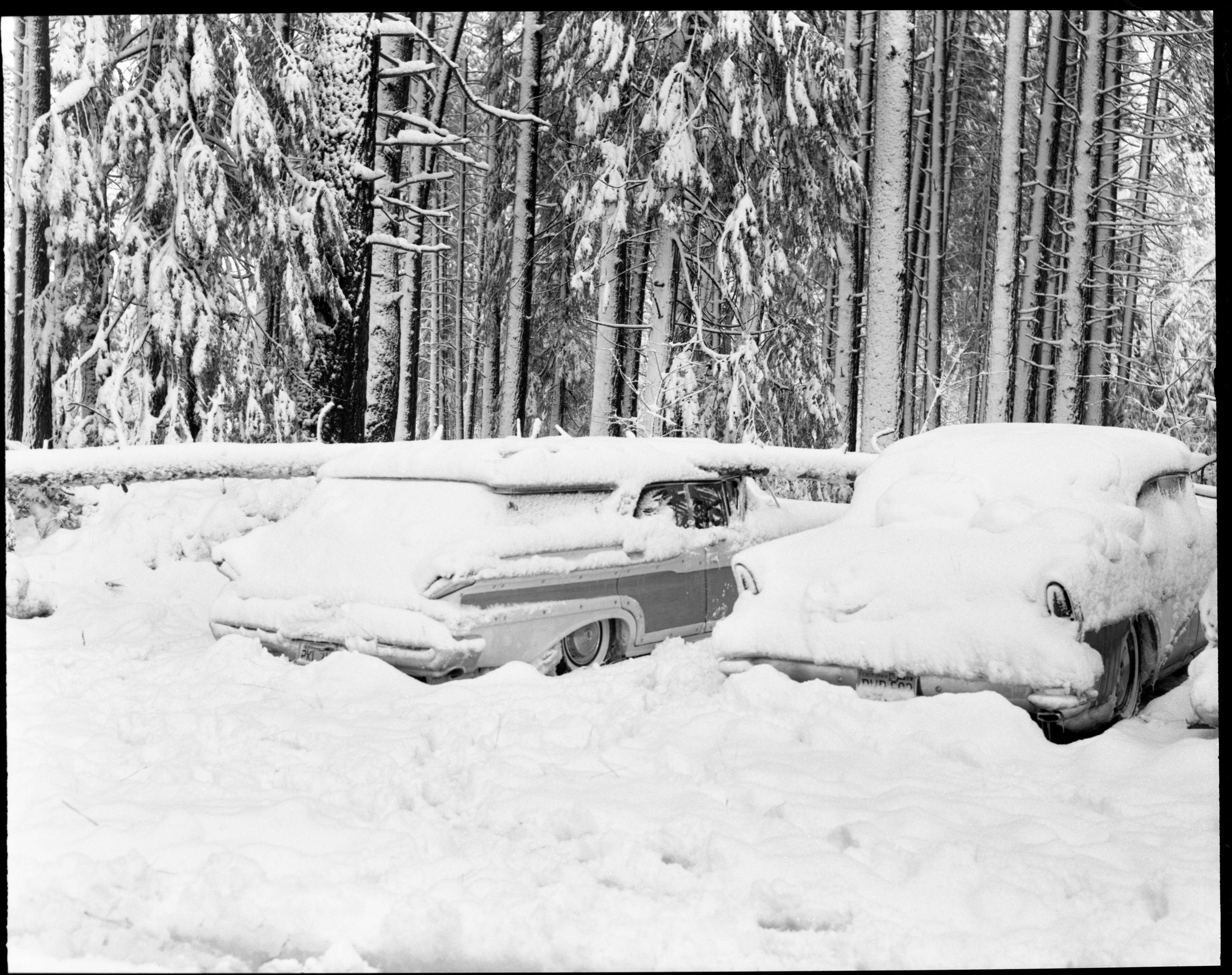 Snow scene - Yosemite Valley.